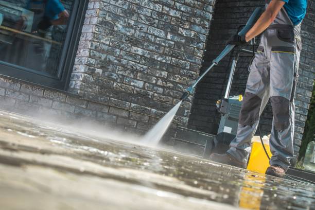 Best Animal Enclosure Cleaning  in Tamiami, FL