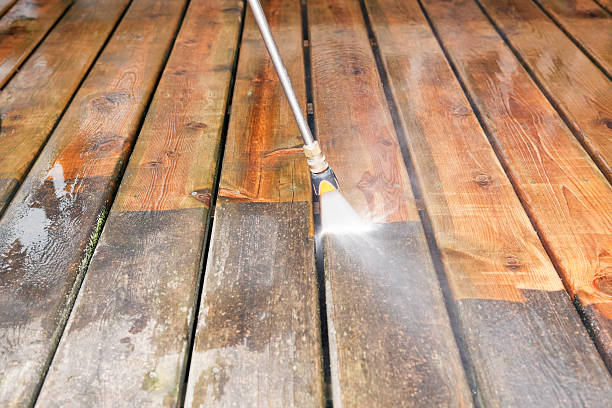 Best Driveway Pressure Washing  in Tamiami, FL